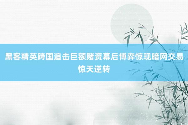 黑客精英跨国追击巨额赌资幕后博弈惊现暗网交易惊天逆转